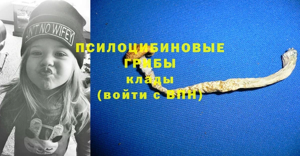 таблы Арсеньев
