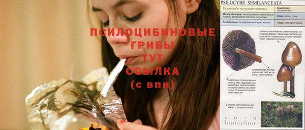 таблы Арсеньев