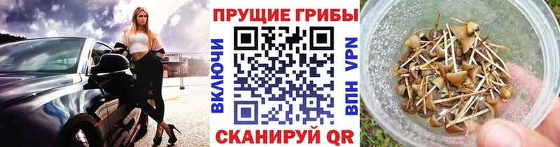 Псилоцибиновые грибы мухоморы  цена   Можайск 
